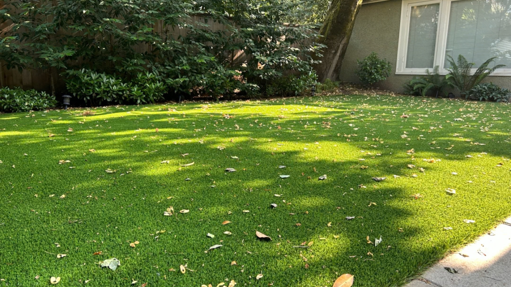 artificial grass maintenance